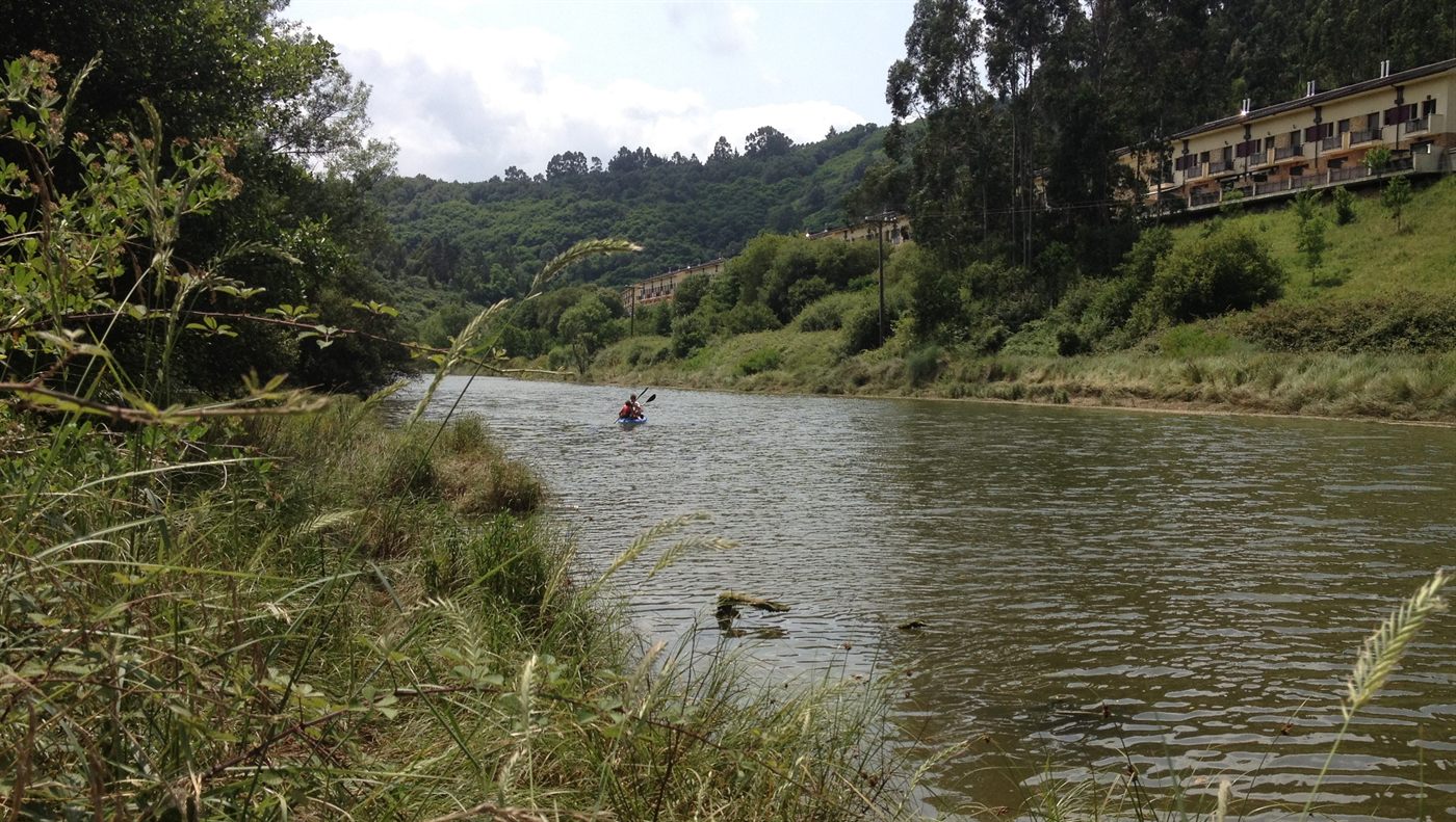 La ría de Butrón entre el verde, vista desde la orilla